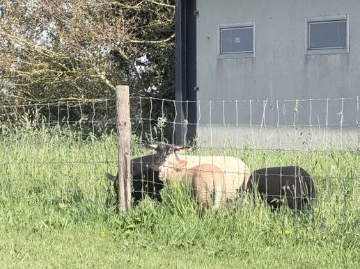 Einem Ort wurde ein Foto hinzugefügt