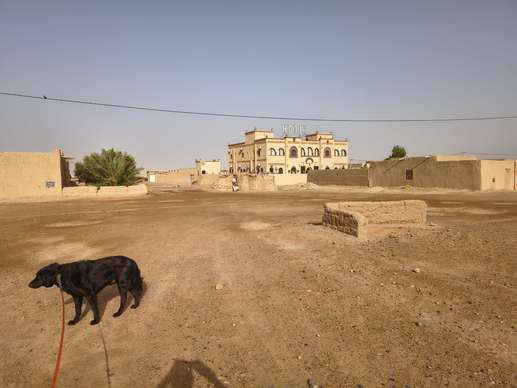 Added a photo to a location