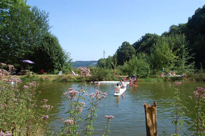 La Foret du Morvan