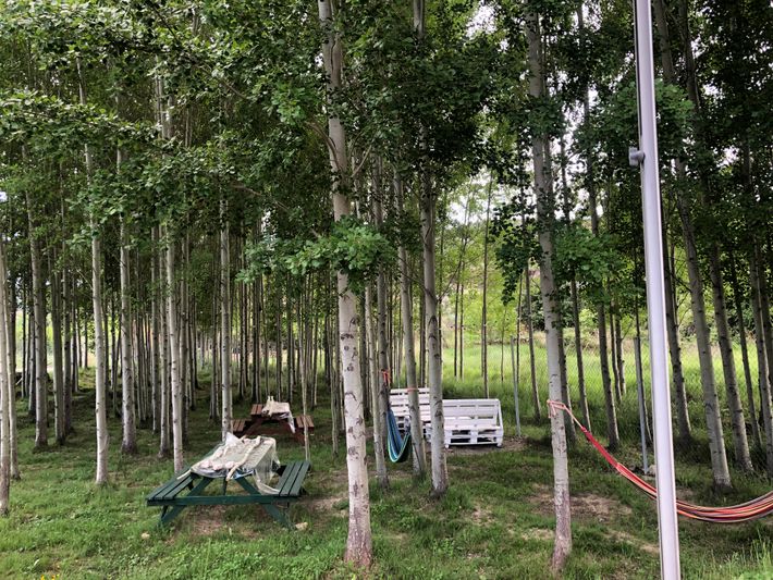 Área de Autocaravanas Albarracin