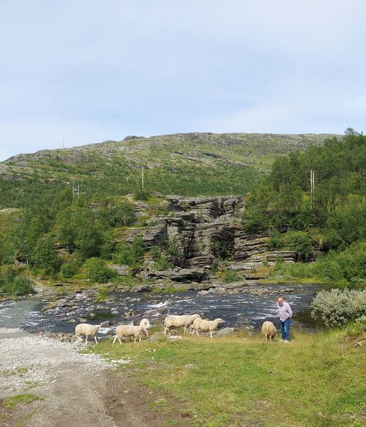 Ajout d'une photo à un emplacement