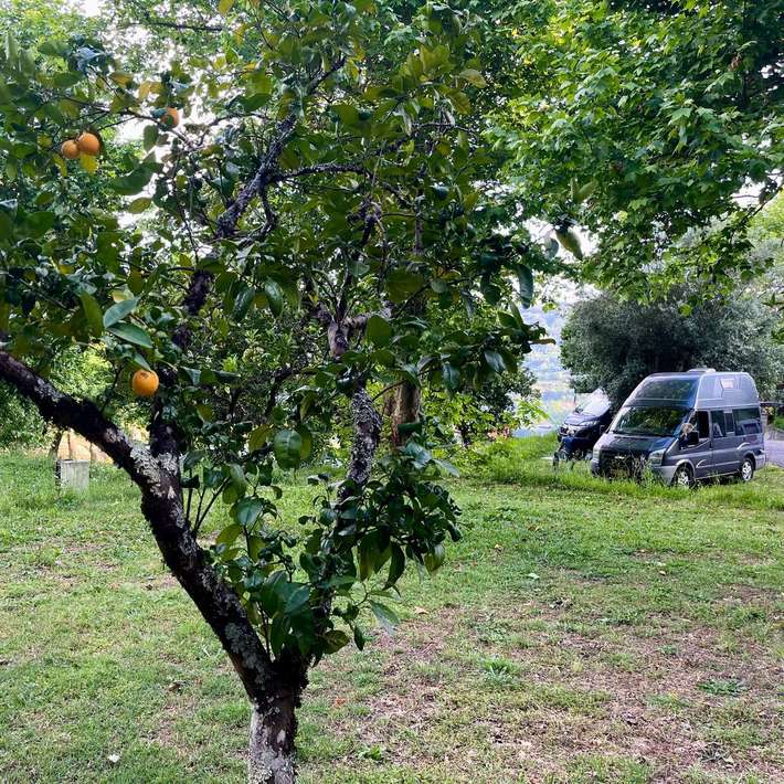 Quinta Valbom
