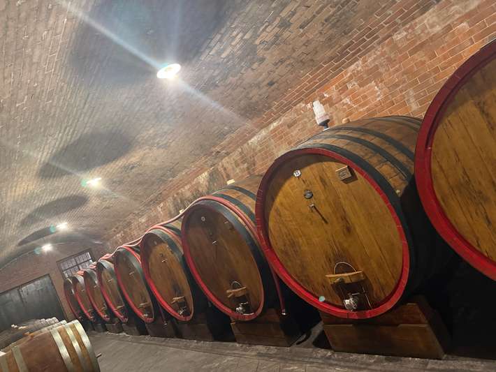 Azienda vitivinicola