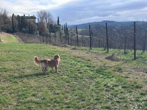 Aggiunta una foto a una posizione