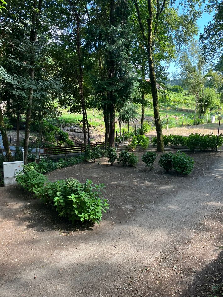 Parque de Campismo Refugio do Pezo