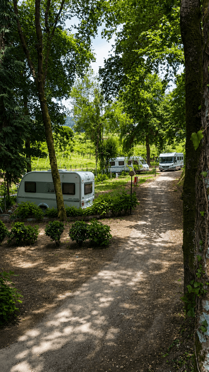 Parque de Campismo Refugio do Pezo