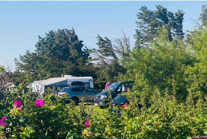 Løkken VestkystCamping