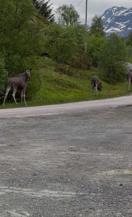 Aggiunta una foto a una posizione
