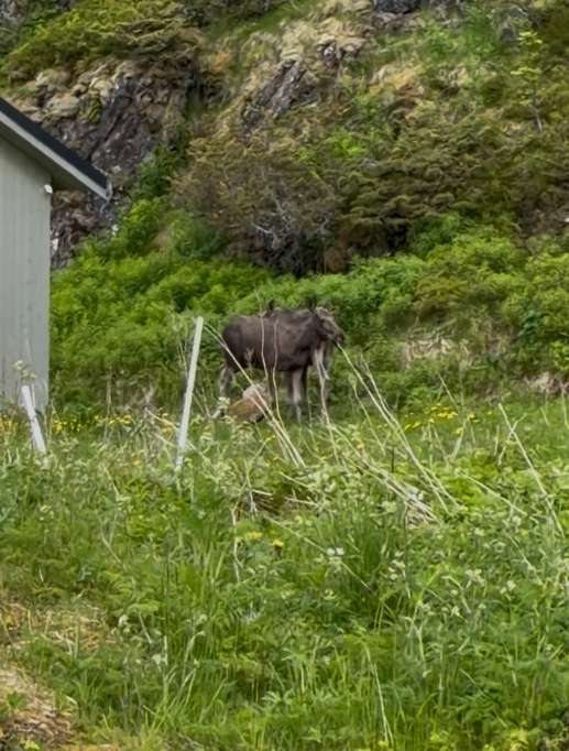 Aggiunta una foto a una posizione