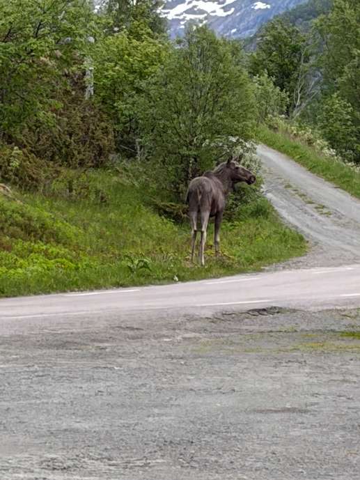 Aggiunta una foto a una posizione
