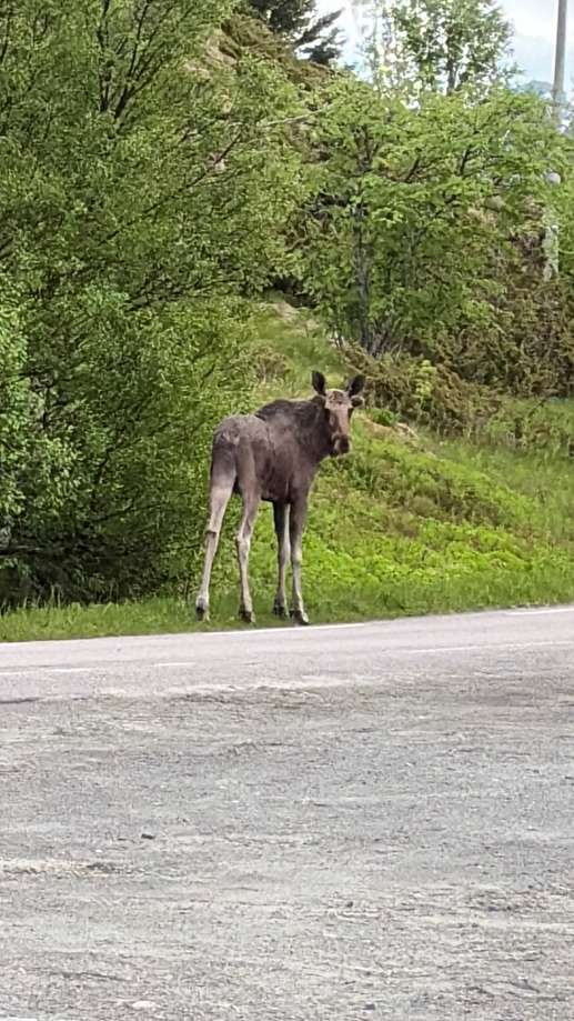 Aggiunta una foto a una posizione