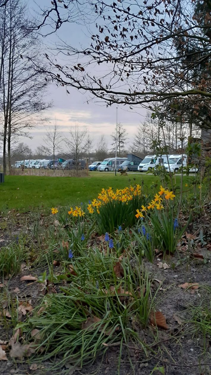 Camperplaats Ouwediek