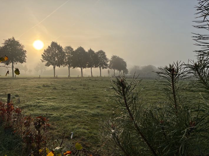 Camping Toeven
