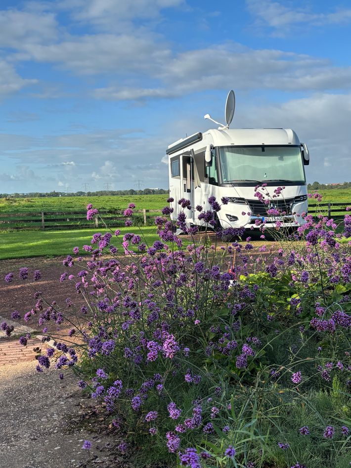 Camperplaats Polderhaan