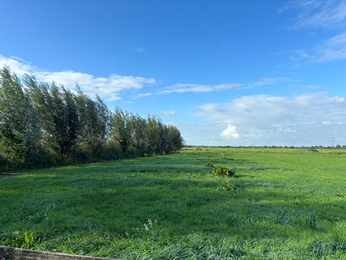 Camperplaats Polderhaan