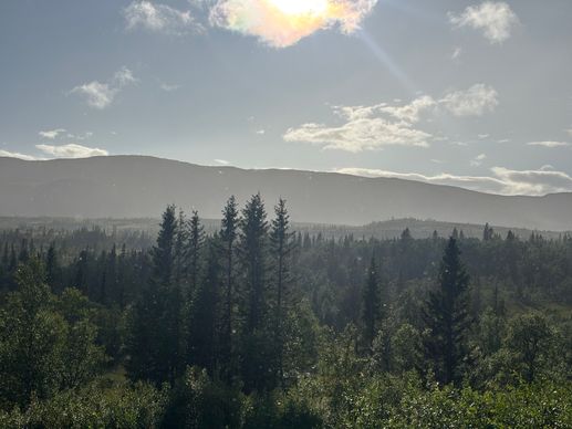 Added a photo to a location