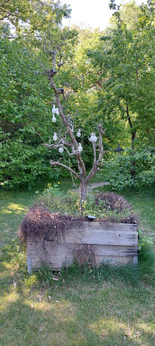 Added a photo to a location