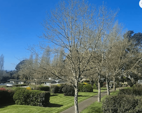 Camping Les Capucines