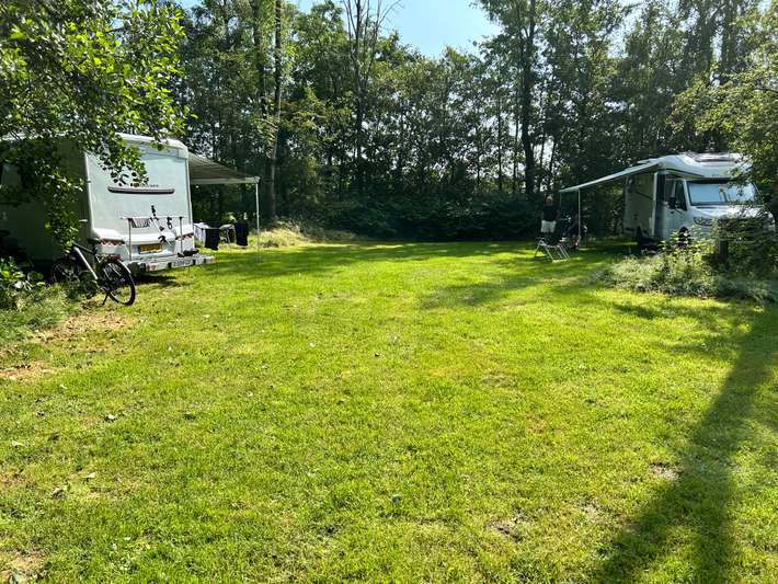 Camping Bos & Pingo