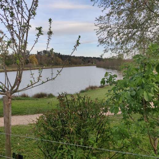 Een foto toegevoegd aan een locatie
