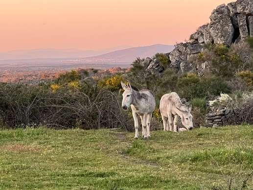 Quinta do Maral - naturist camping