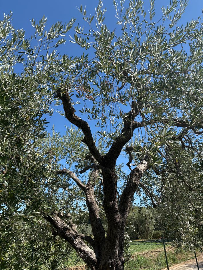 Area di Sosta Manerba del Garda
