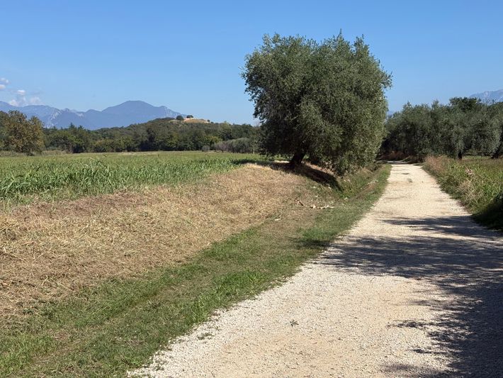 Area di Sosta Manerba del Garda