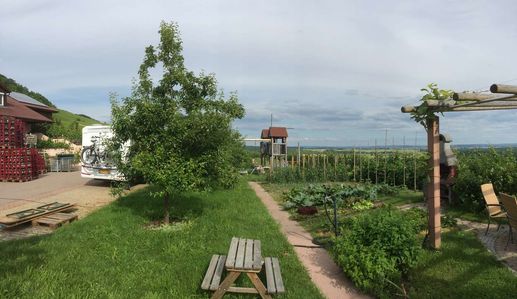 Added a photo to a location