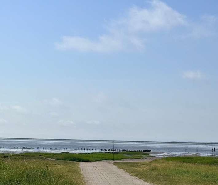 Vadehavet