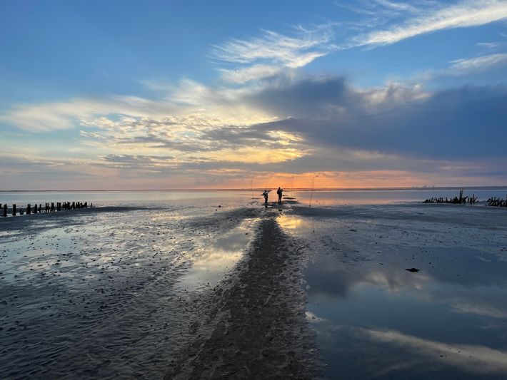 Vadehavet