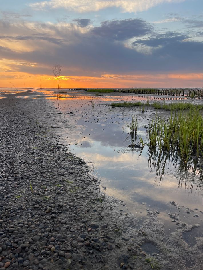 Vadehavet