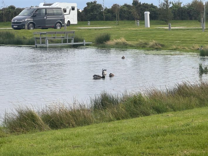 Rømø Autocamperplads