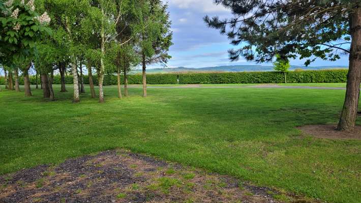 Wyse House Campsite