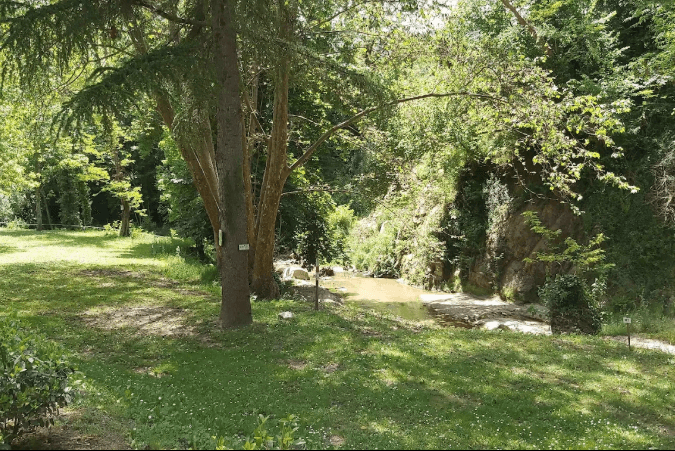 Camping Verte Rive