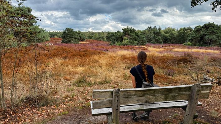Vakantiewoningen en camping Erve Protzmann