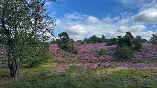 Een foto toegevoegd aan een locatie
