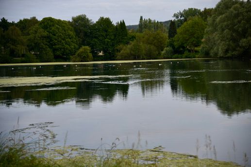Added a photo to a location