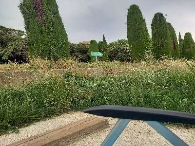 Een foto toegevoegd aan een locatie