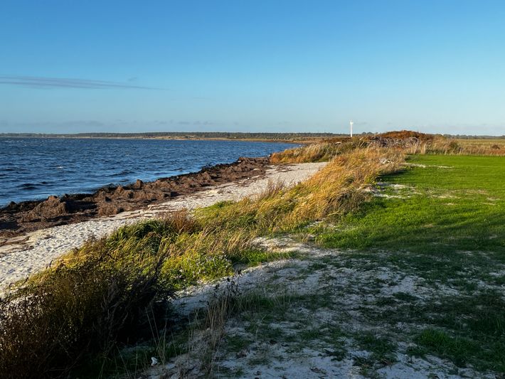 Barsebäckstrand Camping