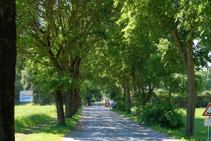 Camping am Lippesee
