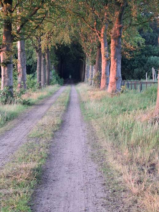 Een foto toegevoegd aan een locatie