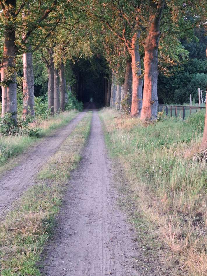 Camperplaats Veldgeluck