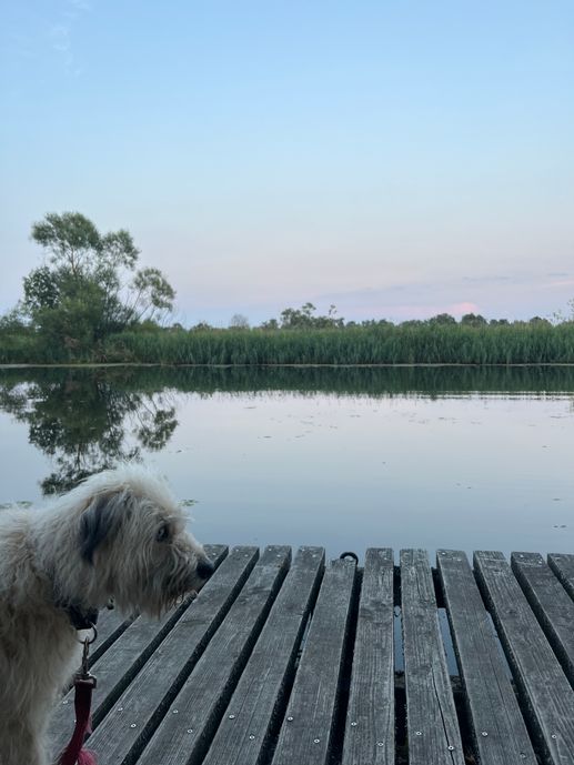 Aggiunta una foto a una posizione