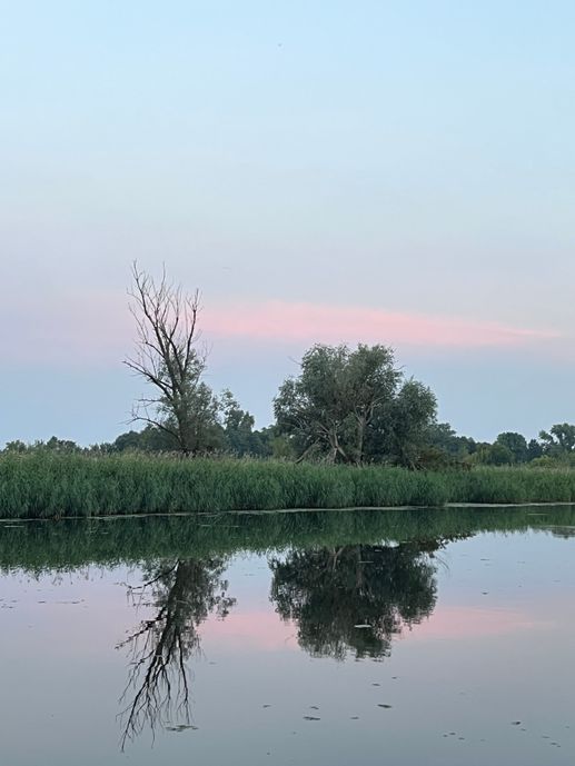 Aggiunta una foto a una posizione