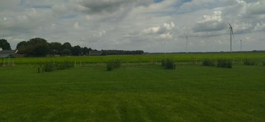 Een foto toegevoegd aan een locatie
