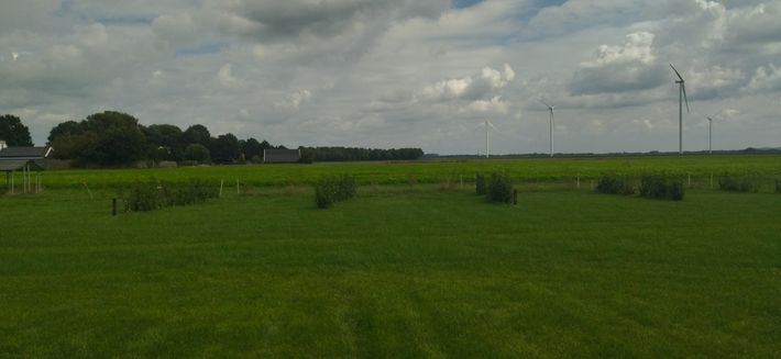 Camping de Amerikaanse Eik