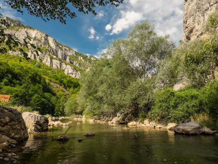 Camping La Farigoulette
