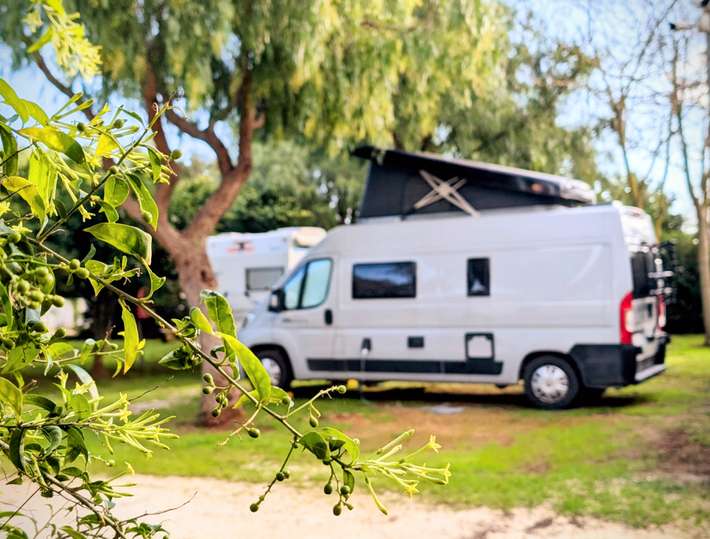 Lilybeo Village - Camping & Residence