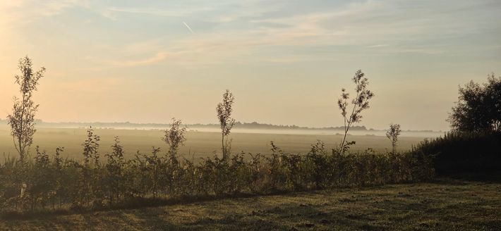 Boerderijcamping De Gouden Ribben