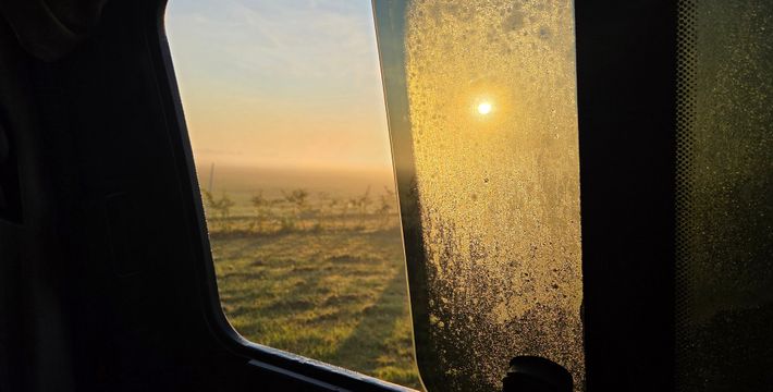 Boerderijcamping De Gouden Ribben